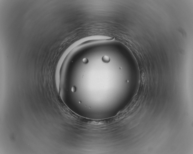 X0000112060570200908181201