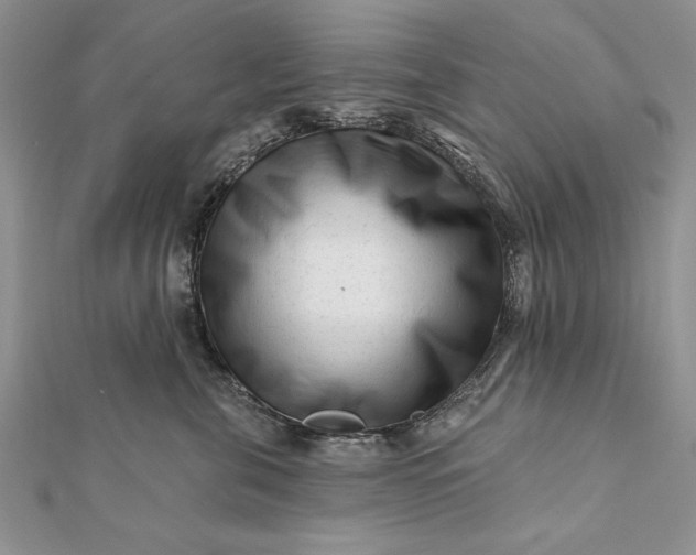 X0000112060571200908181201