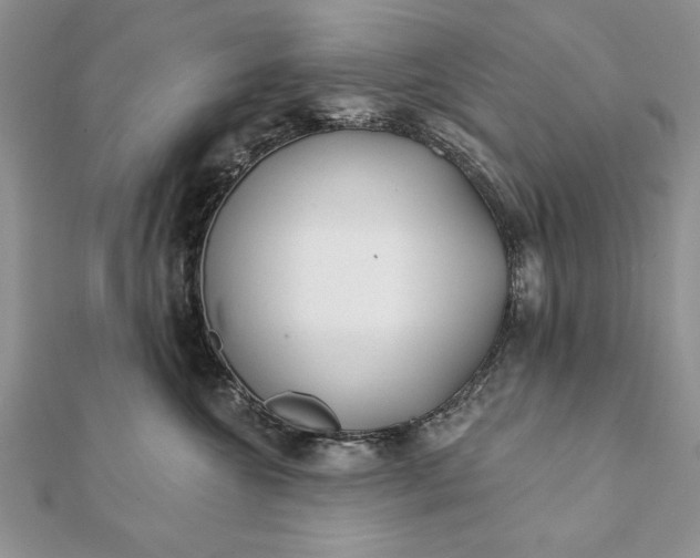 X0000112060572200908181201