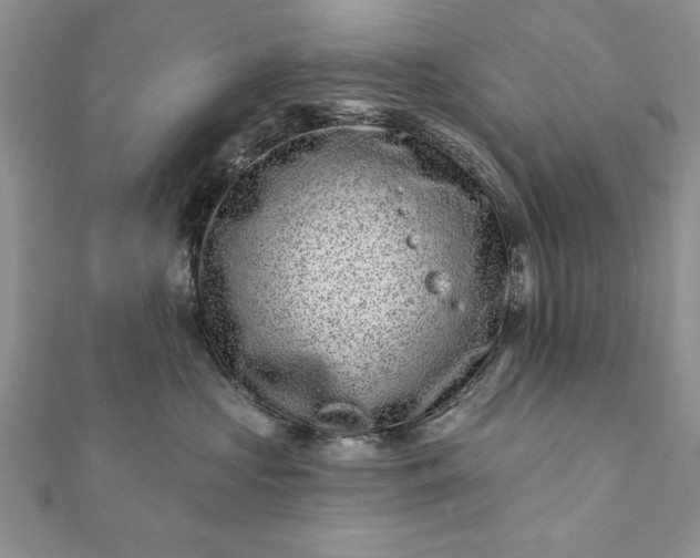 X0000112060573200908181201