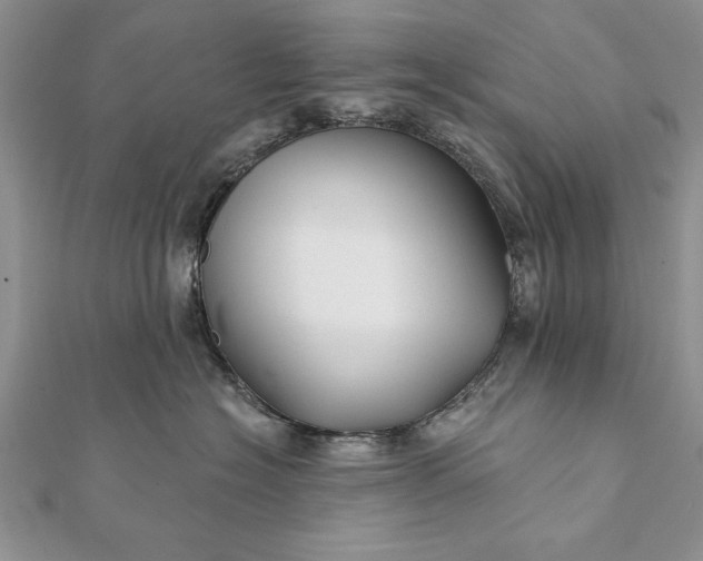 X0000112060574200908181201