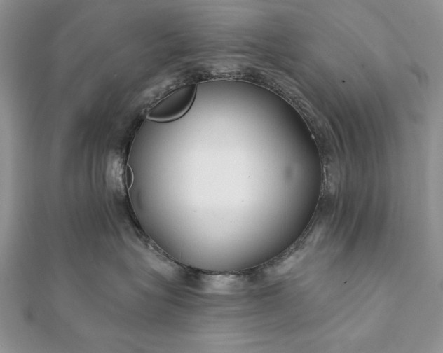 X0000112060575200908181201