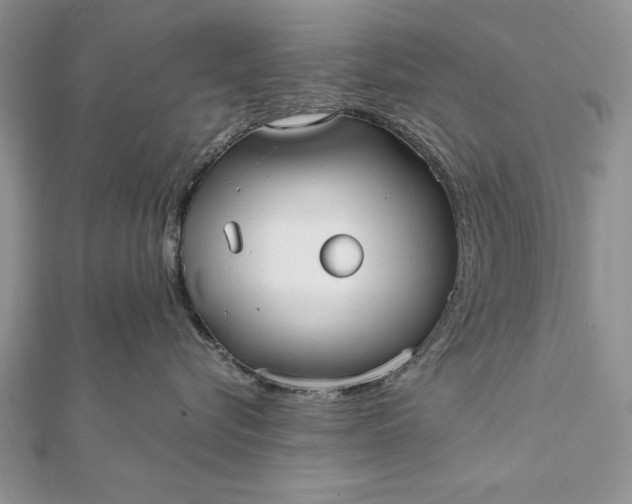 X0000112060576200908181201