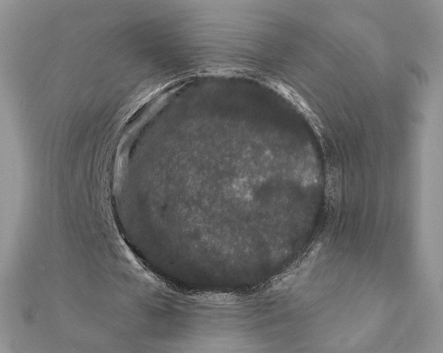 X0000112060577200908181200