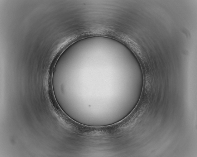 X0000112060578200908181200