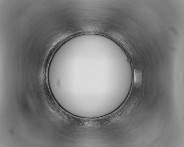 X0000112060579200908181200