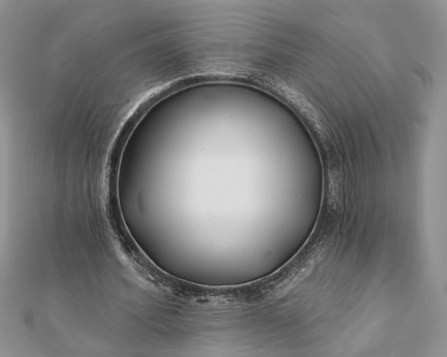 X0000112060580200908181200