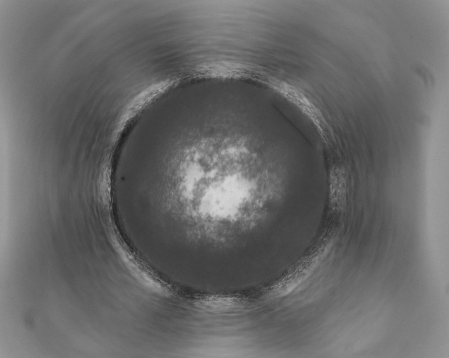 X0000112060581200908181200