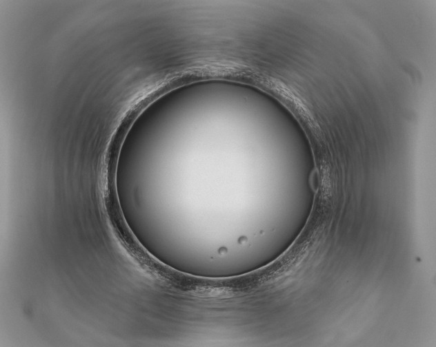 X0000112060582200908181200