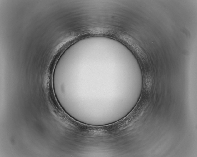 X0000112060583200908181200