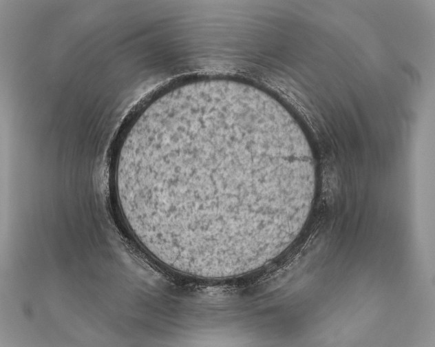 X0000112060584200908181200