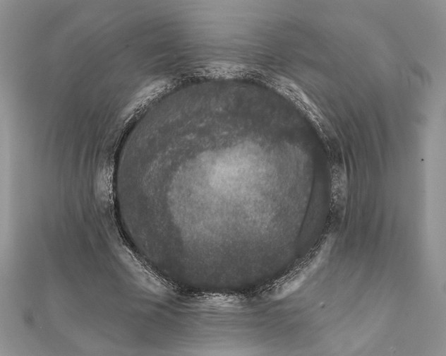 X0000112060585200908181200