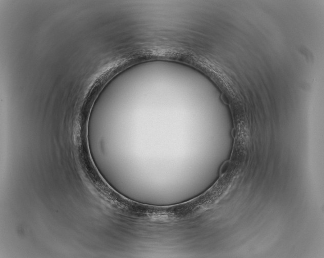 X0000112060587200908181200