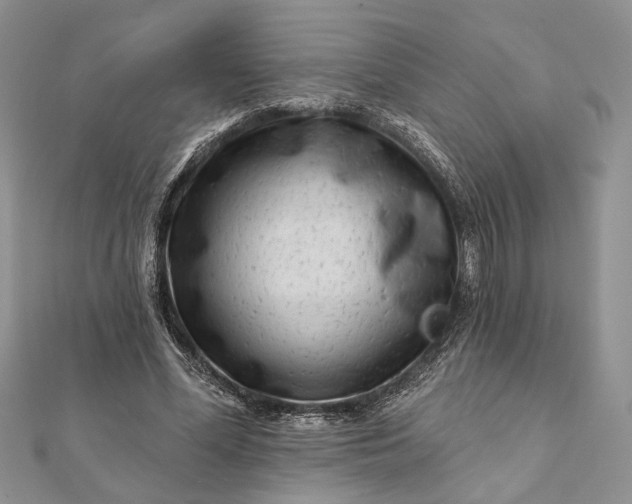 X0000112060588200908181200