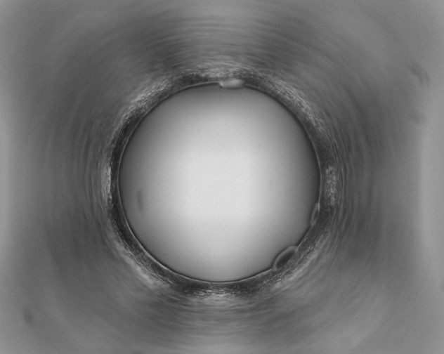 X0000112060589200908181200