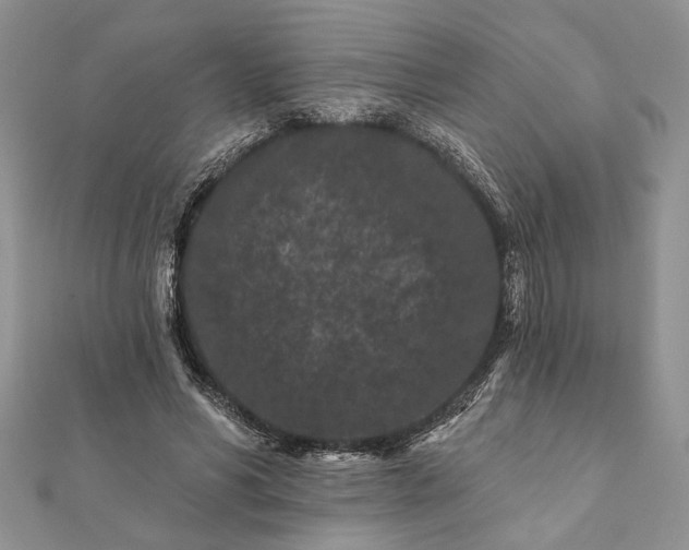 X0000112060590200908181200