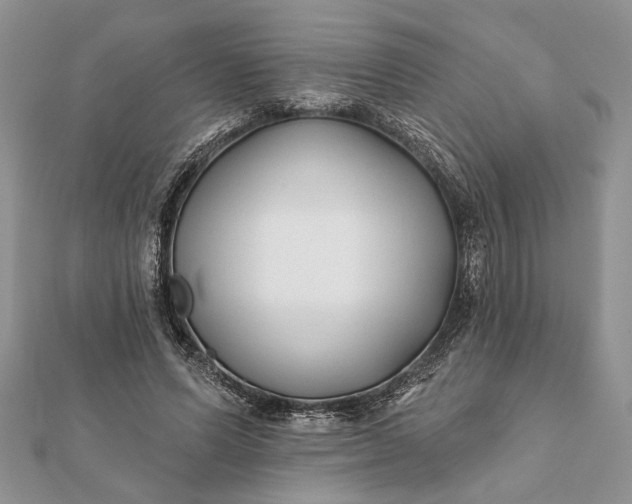 X0000112060591200908181200