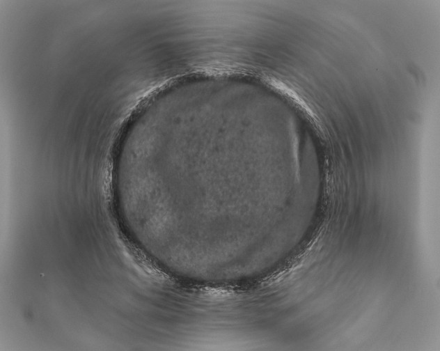 X0000112060592200908181200