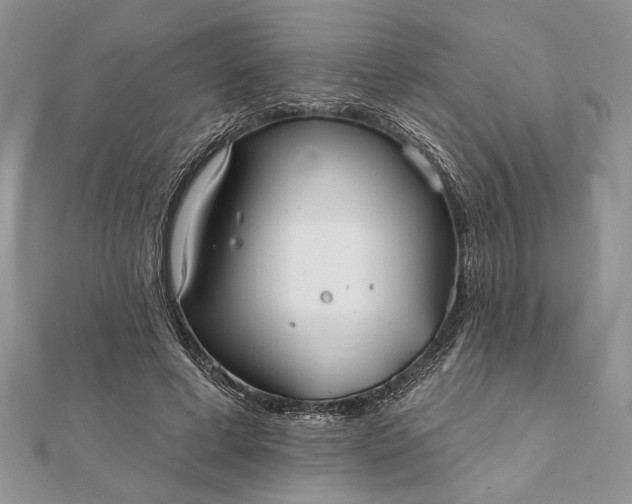 X0000112060593200908181200