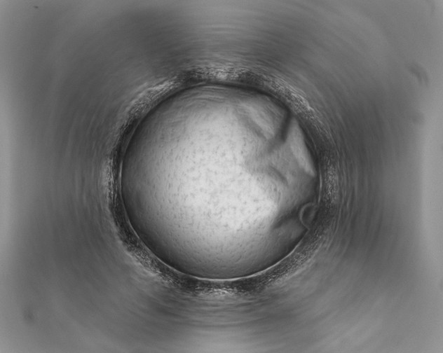 X0000112060594200908181200