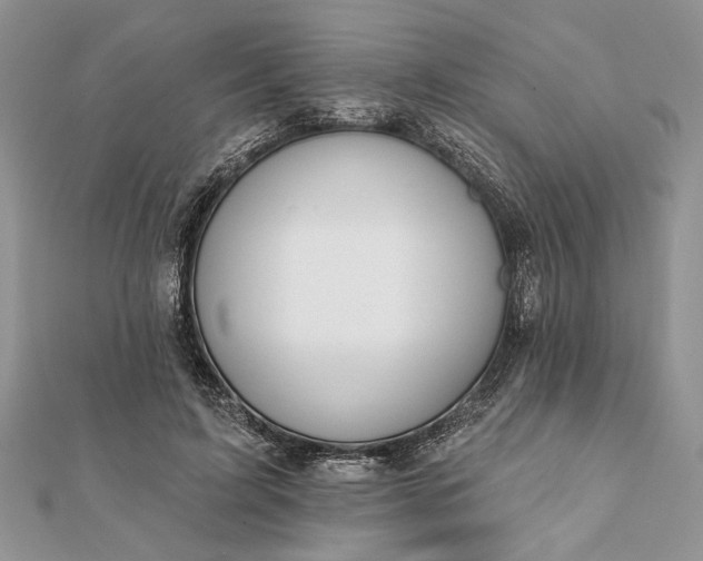 X0000112060595200908181200