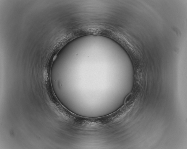 X0000112060597200908181200