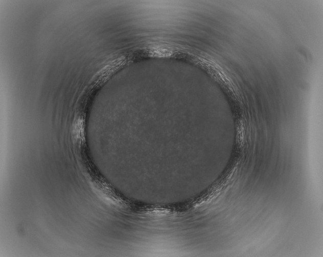 X0000112060598200908181200