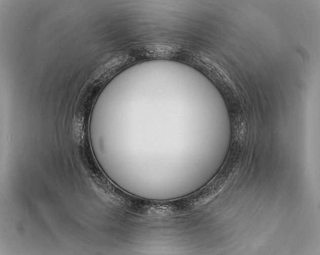 X0000112060599200908181200