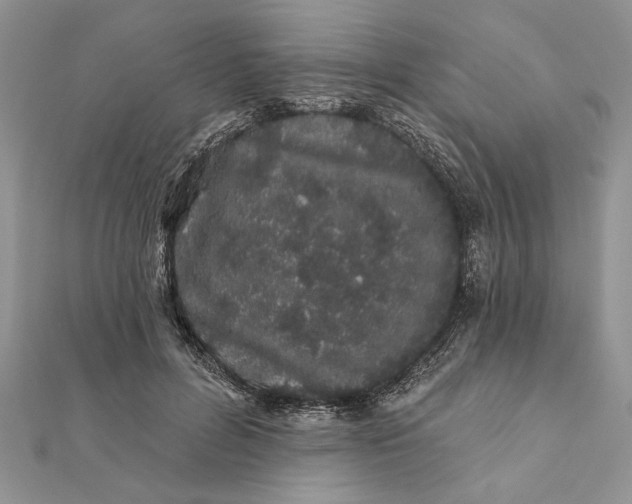 X0000112060600200908181200