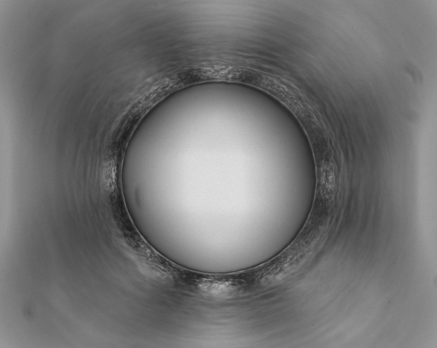 X0000112060602200908181200