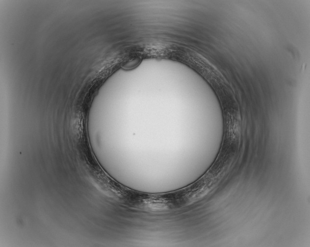 X0000112060603200908181200