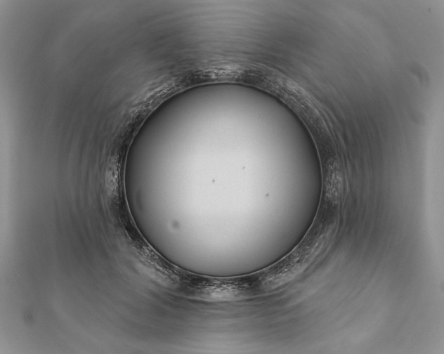 X0000112060604200908181200