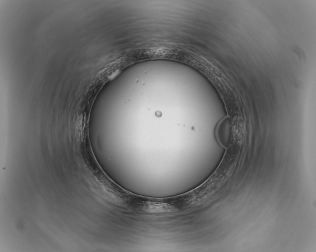 X0000112060605200908181200