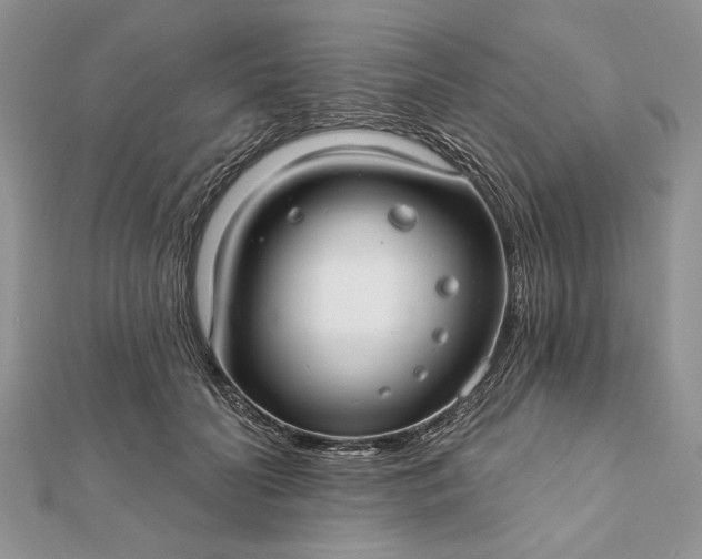 X0000112060606200908181200