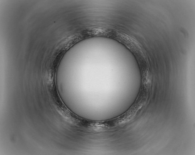 X0000112060607200908181200