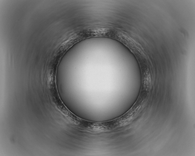 X0000112060608200908181200