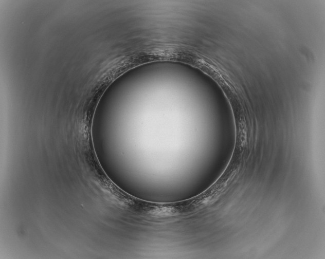 X0000112060609200908181159