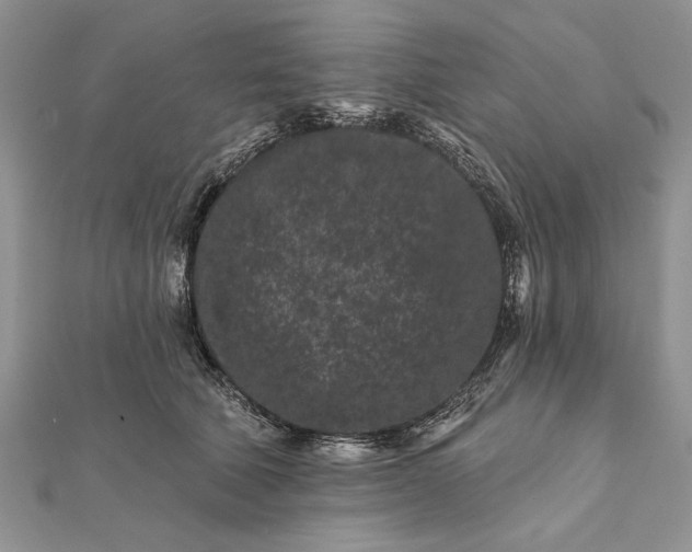 X0000112060610200908181159