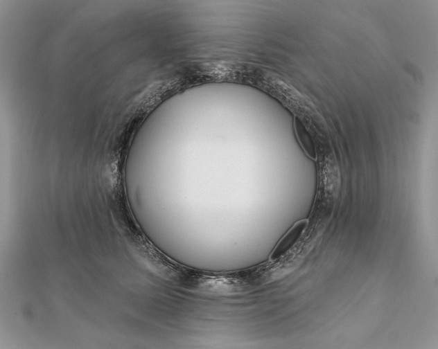 X0000112060611200908181159