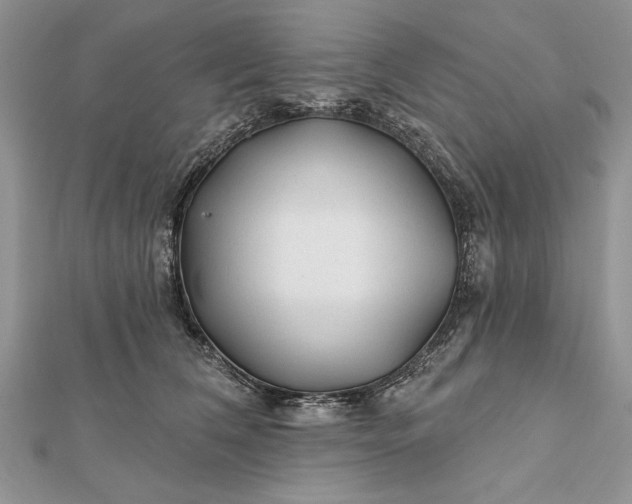 X0000112060612200908181159