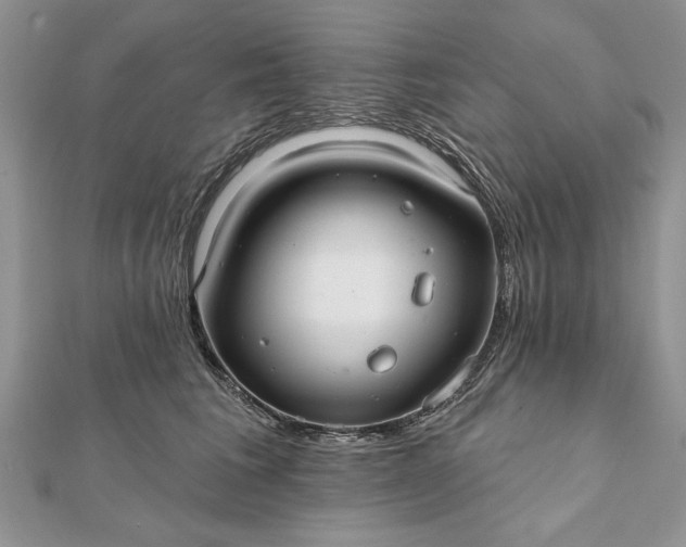 X0000112060613200908181159