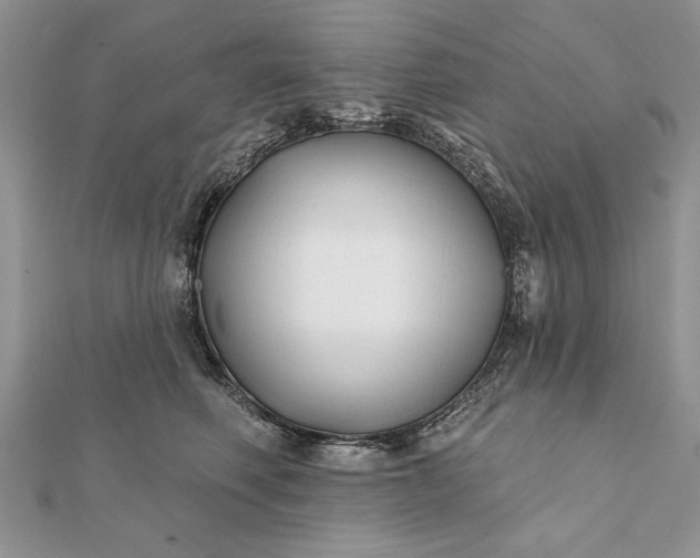 X0000112060614200908181159