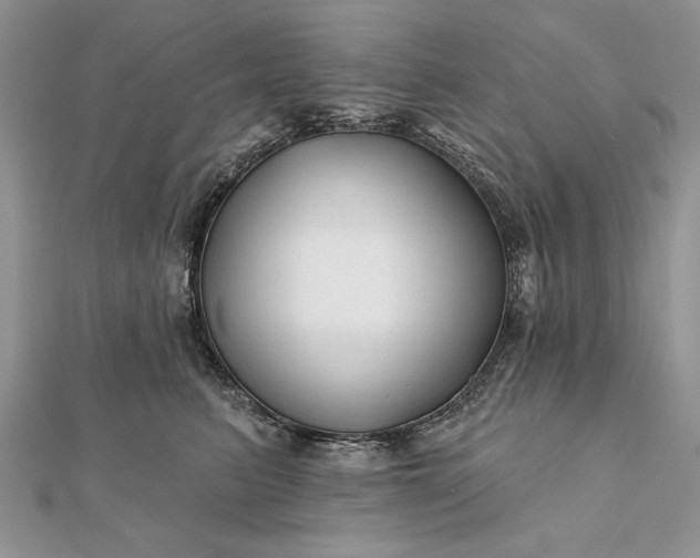 X0000112060615200908181159