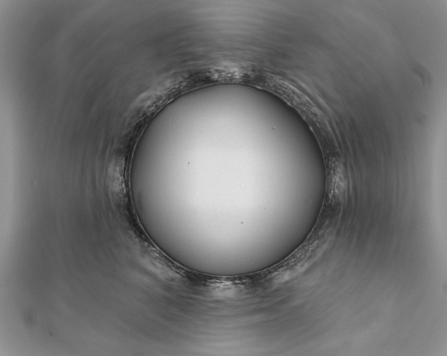 X0000112060616200908181159