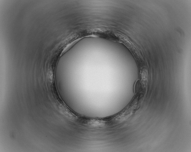 X0000112060617200908181159