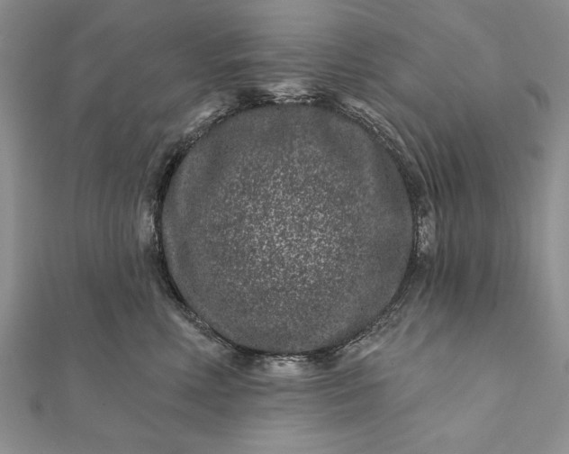 X0000112060618200908181159