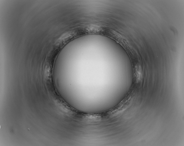 X0000112060619200908181159