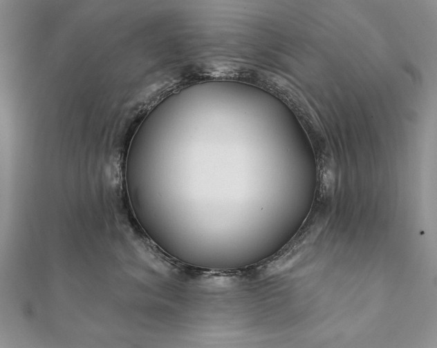 X0000112060620200908181159