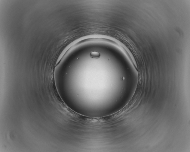 X0000112060621200908181159