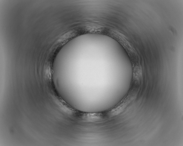 X0000112060622200908181159